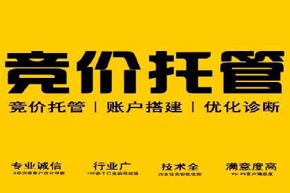 SEM推广代运营服务案例解析